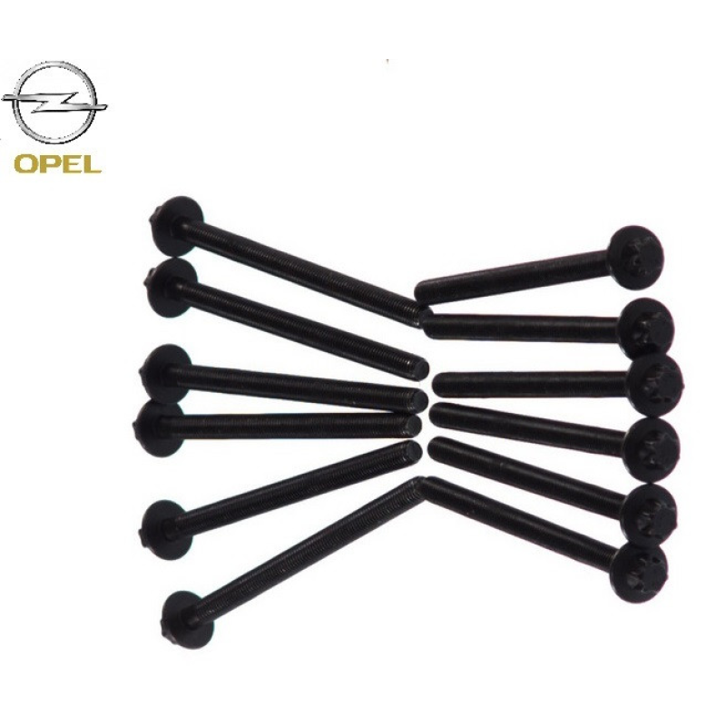 Болт головки блоку (12 шт.) OPEL ASTRA G,H, COMBO, CORSA C,D, MERIVA A X12XE /Z12XE /Z12XEP /Z14XEP 1,2-1,4 00-